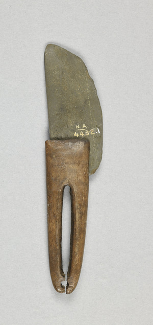 NA4432.1