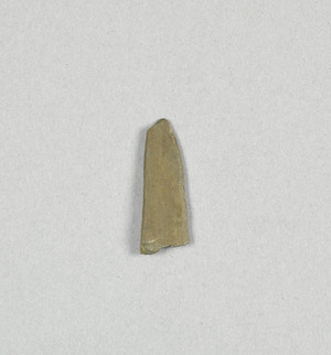 NA4439.3