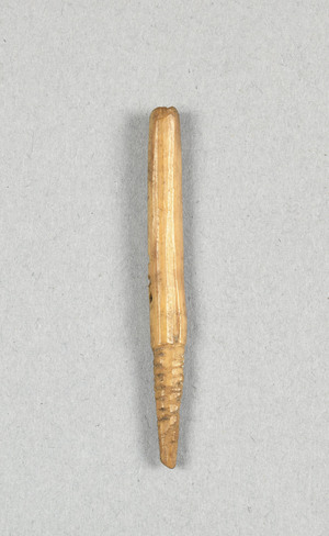 NA7341.1