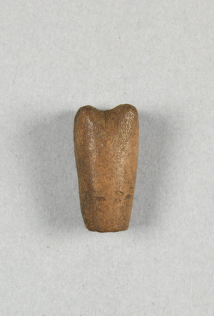 NA7345.5