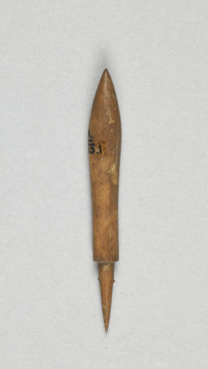 NA9555.1