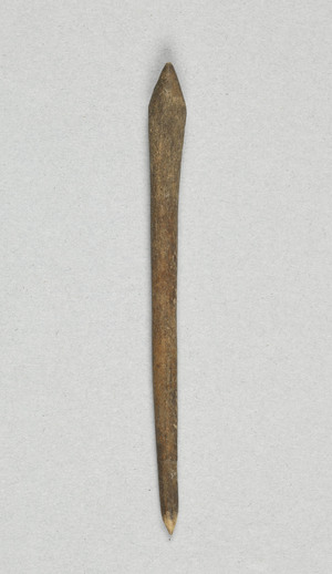 NA9555.2
