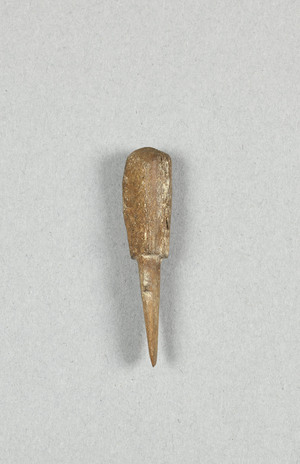 NA9565.1
