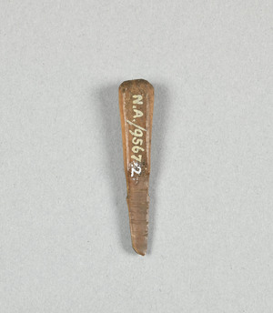 NA9567.2
