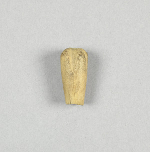 NA9569.16