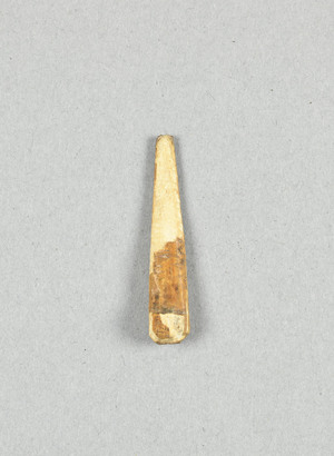 NA9631.1