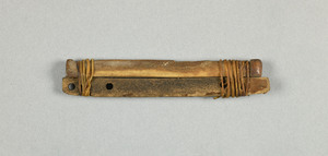 NA7434.1