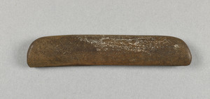 NA9825.1