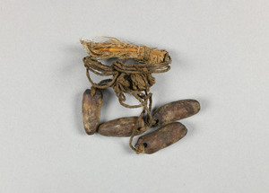 NA6534