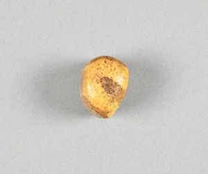 NA7163.4