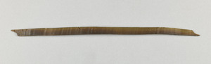 NA7259.1