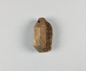 NA7293.1