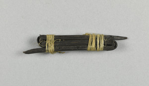 NA6684.1