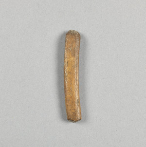 NA9679.2