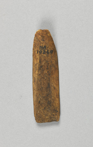 NA10260.3