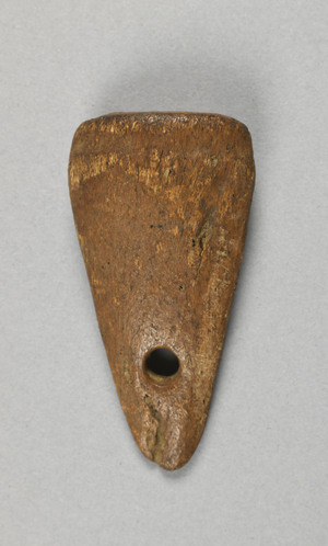 NA10263.1