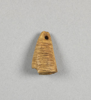 NA10263.2