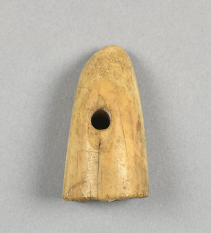 NA10263.3