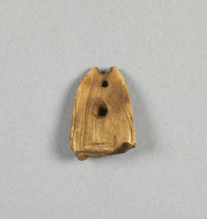 NA10268.2