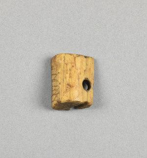 NA10268.3
