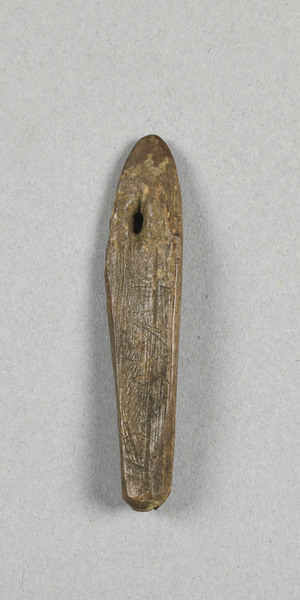 NA10269.1