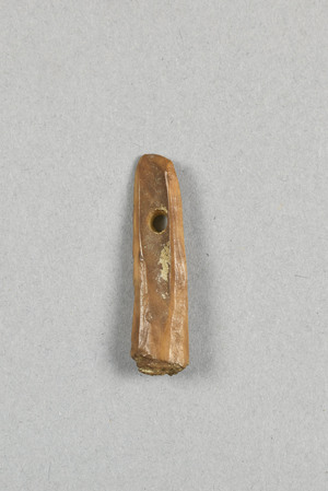 NA10269.2