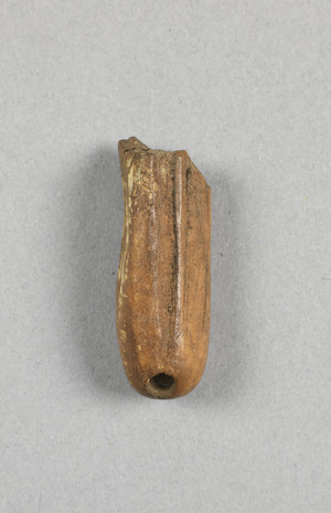 NA10269.4