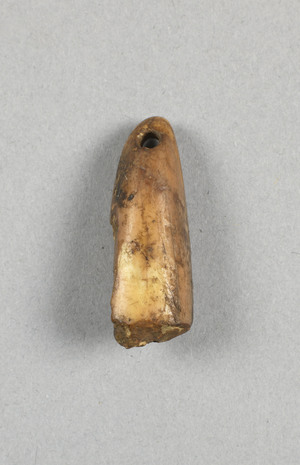 NA10269.5