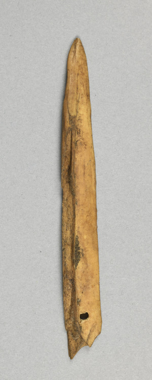 NA10282.1
