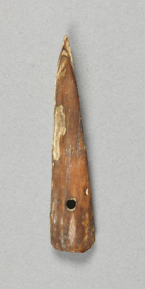 NA10282.2