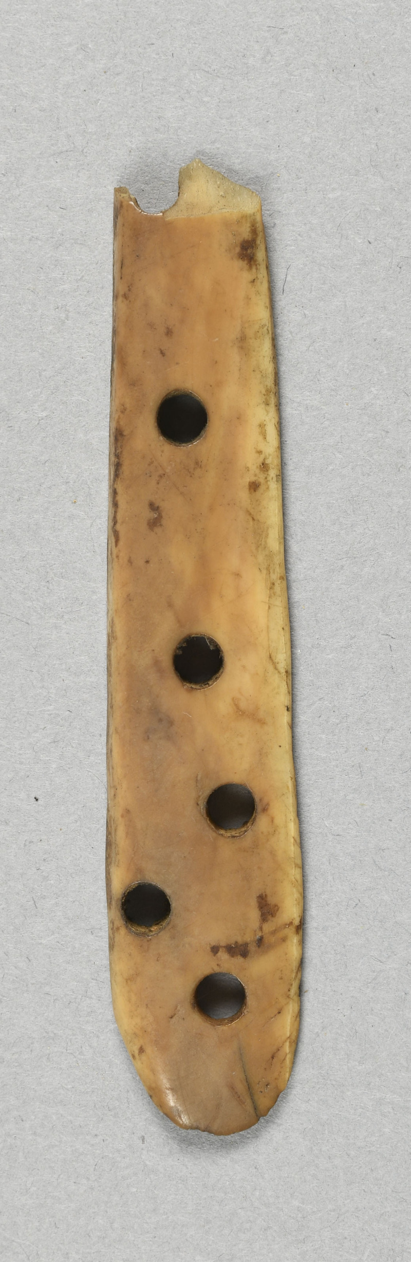 995036