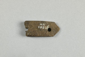 NA10336