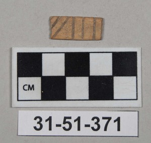 31-51-371