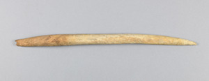 NA9654.1