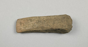 NA9652.1