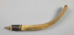 NA9821.1