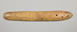 NA10252.1