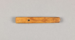 NA9684.2