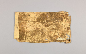 NA10405