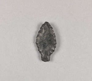 42341