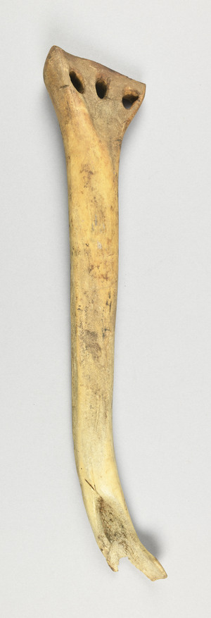 NA4557