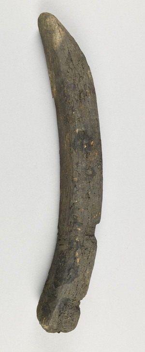 NA6748.5