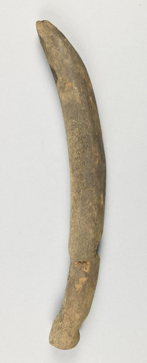 NA6748.11
