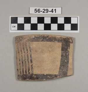 56-29-41