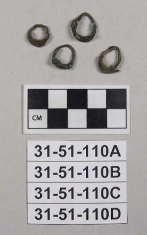 31-51-110D
