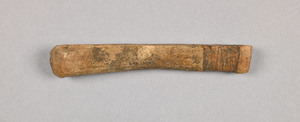 NA9892.1