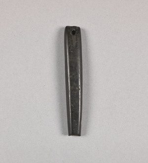 NA9897.1
