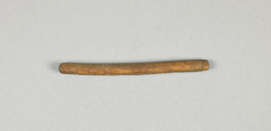 NA9891.1
