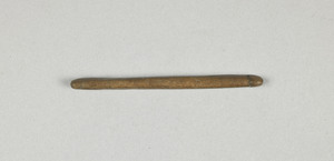 NA9893.1