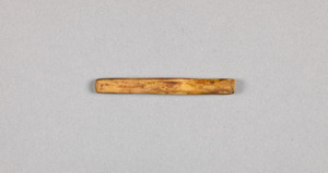 NA4388.1
